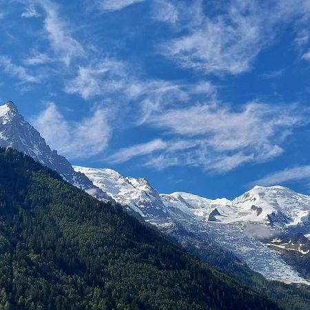 Le Petit Balcon Avec Vue Sur Le Mont-Blanc 2 Etoiles Apartment Шамони Екстериор снимка